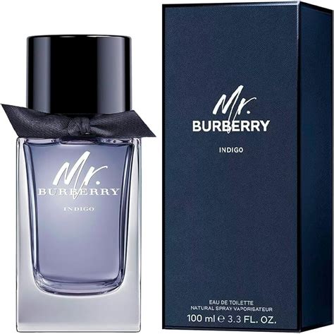 mr burberry indigo scent